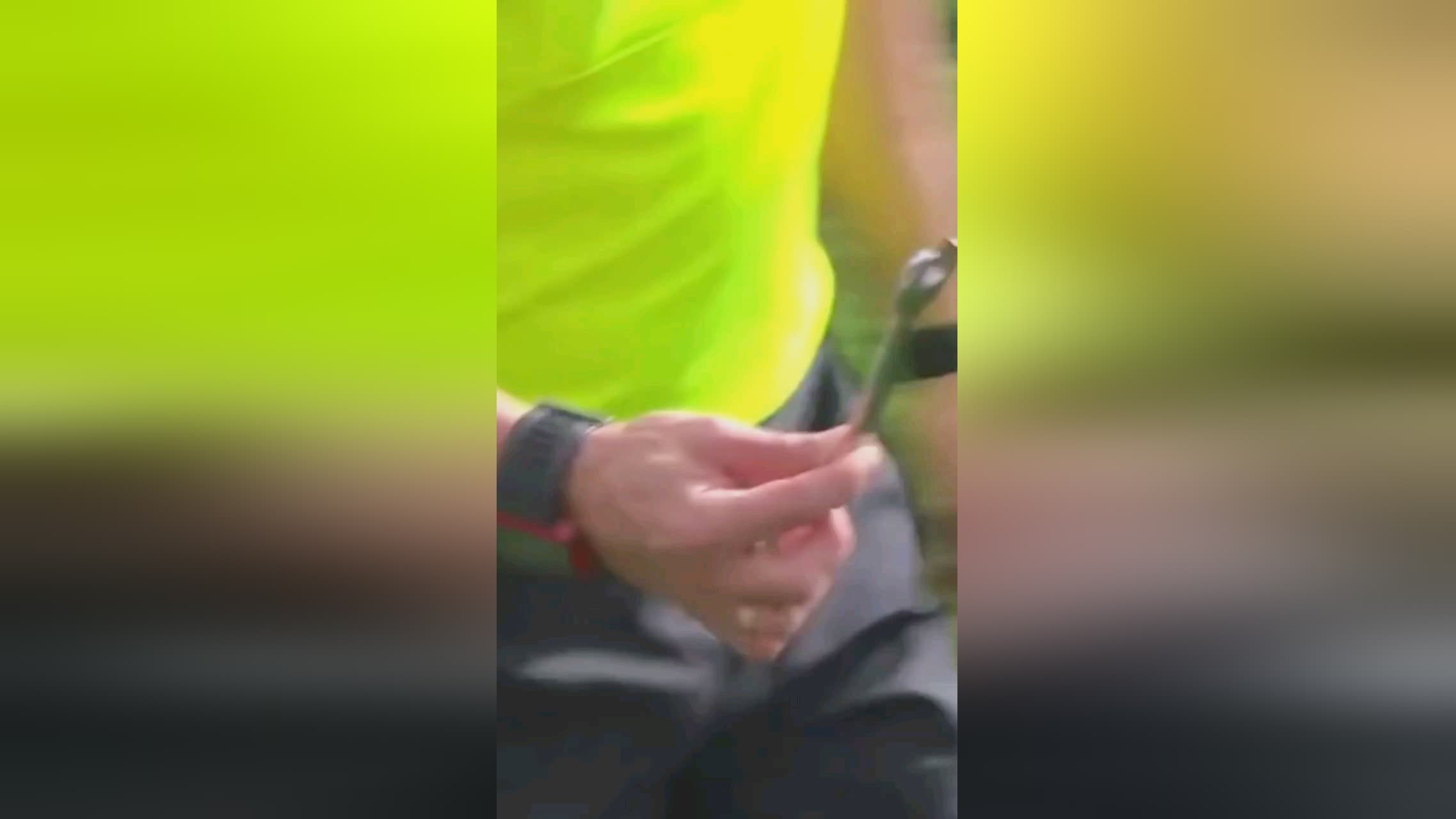 形成